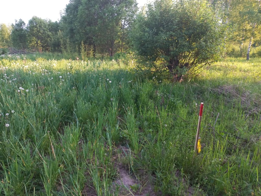 Продаётся дом, вески тер. дпк 