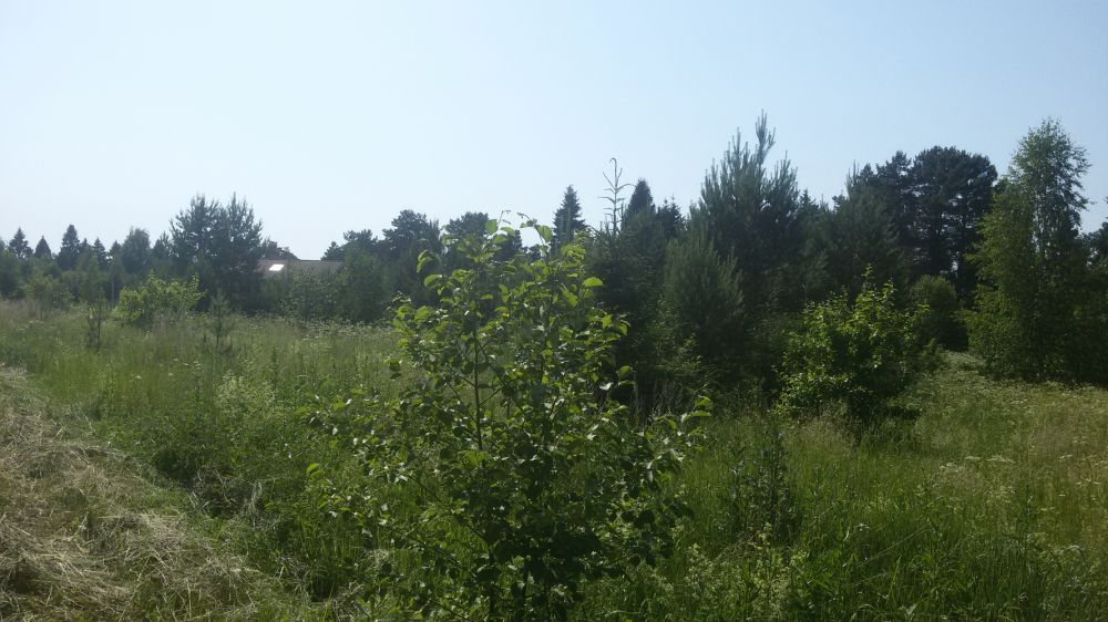 Продаётся дом, сорокино д.   
