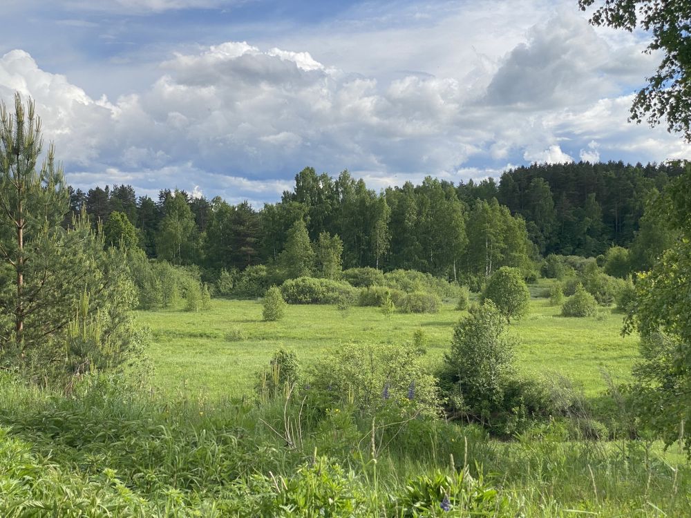 Продаётся дом, перематкино  