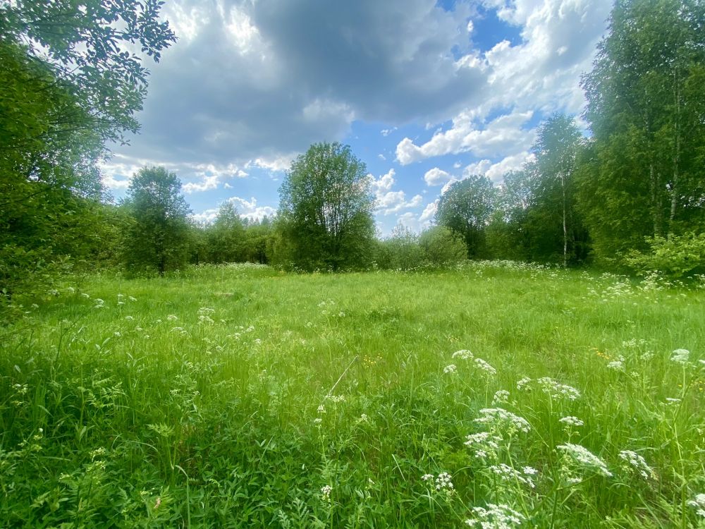 Продаётся дом, шаблыкино д.   