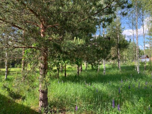 Продаётся дом, 139 м², аленино  