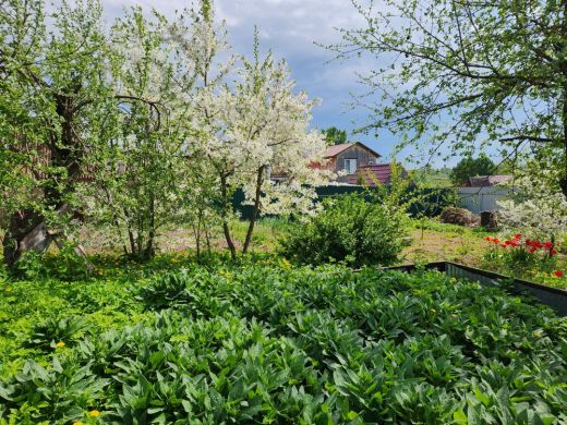 Продаётся дом, 36 м², александров г. коллективная ул.  коллективная ул.