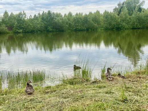 Продаётся дом, 275 м², дарьино тер. дпк 