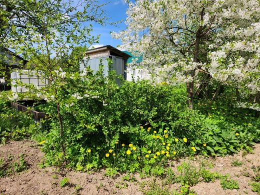 Продаётся дом, 36 м², александров г. коллективная ул.  коллективная ул.